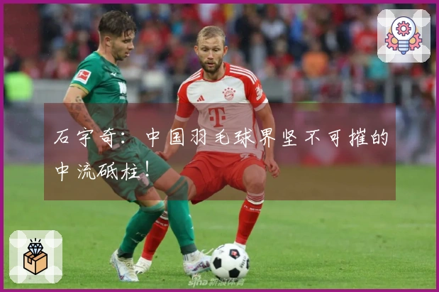 石宇奇：中国羽毛球界坚不可摧的中流砥柱！