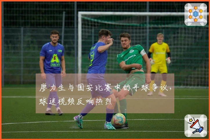廖力生与国安比赛中的手球争议，球迷视频反响热烈