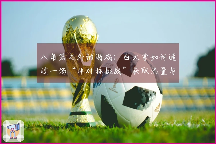 八角笼之外的游戏：白大拿如何通过一场“非对称挑战”获取流量与掌控权利