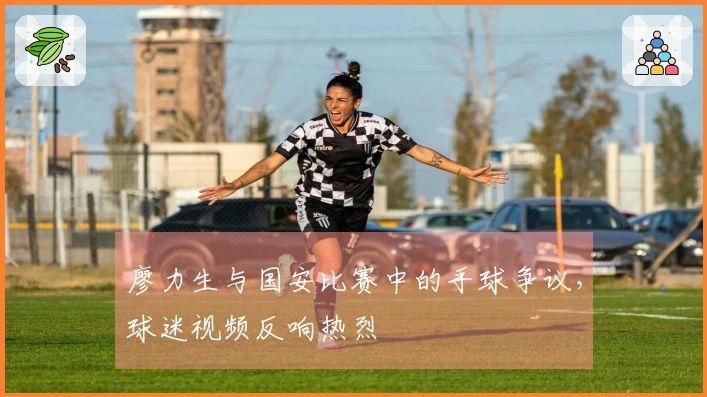 廖力生与国安比赛中的手球争议，球迷视频反响热烈